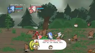 castle crashers.1(2)