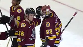 Game Highlights April 1 Chicago Wolves vs. Rockford IceHogs
