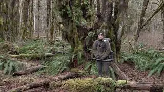 Spring Photography in the Woods