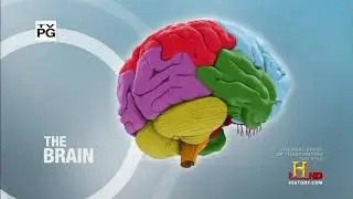 The Brain History Channel