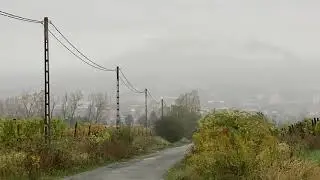 Eger, szőlőhegy - 2024 október