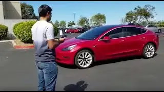 Женщина сама остановила Tesla 3 ШОК ))))
