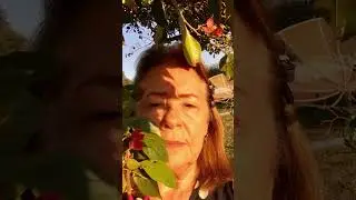 #странности
