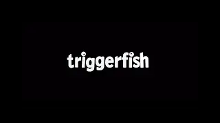 Triggerfish Sizzle 2024