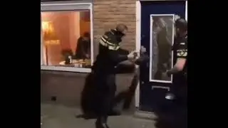 Образец спокойствия