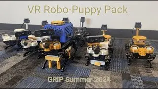 VR Robo-Puppy Pack Project Overview - GRIP Summer 2024