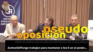 Los que quieren a Máximo Kirchner en 2027 son…| Javier Milei | 11 - 11 - 2022| mileipedia