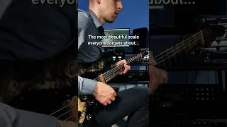 The scale everyone forgets about #guitarlesson