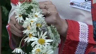 Липец в Даровом. Зарайск