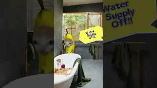 Banana Cat's Bath time #shortsfeed #shorts #shortvideo