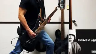 Eminem - Stan (feat. Dido)  ||  Bass Cover