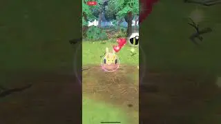 Goo day (Goomy Community day 2024)