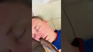 Папе не понравилось как его разбудила рыба