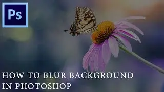 How To Blur Background In Photoshop ? Webtrickshome