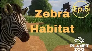 Zebra Habitat | Planet Zoo | Ep.5