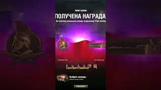 ПРАЙМ НАБОР 🎁 Июнь 2023 Закалённые боем #worldoftanks #expressly