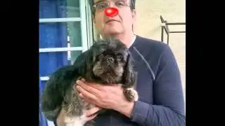 Buon Natale 2014