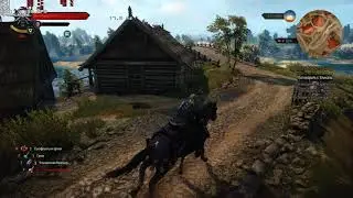The Witcher 3 Ultra + Hairworks (i5-4800 + GTX 1066 + 16 GB 2400 CL17)