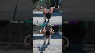 Pelican Push Up 🆚 Curl in Gymnastic Rings