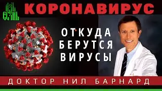 Откуда взялся КОРОНАВИРУС, что делать - Доктор Медицины Нил Барнард. Коронавирус последние новости