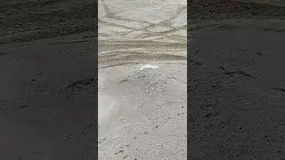 Весёлый пи..ец))) и писающий мальчик)