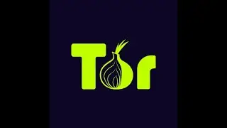 A beginners guide to using the Tor browser (Pt.1)