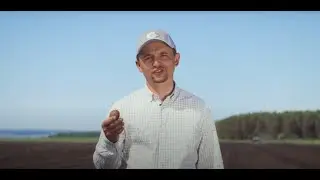 Производство семенного картофеля. Агрофирма Слава картофелю