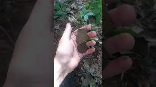 Бомба находка в Лесу !