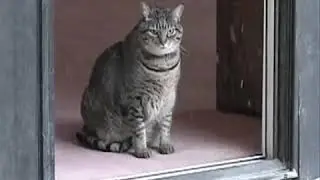 1 марта