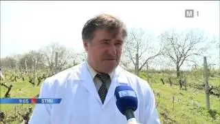 Выпуск новостей на канале Молдова-1. Ведущая: Анна Глушко