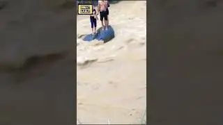 4 orang muda mudi terjebak air bah ditengah sungai, diketahui kondisi gunung sedang hujan saat itu