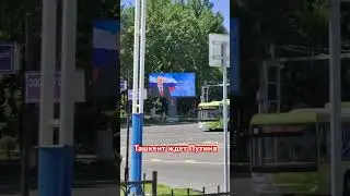 #путин #ташкент #май2024