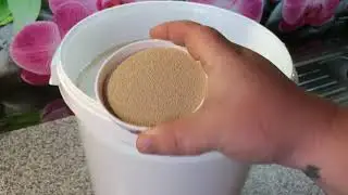 Самая простая брага