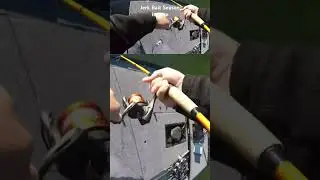 Big Bass LOVE when you JERK it
