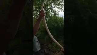 Самоизлив в доме
