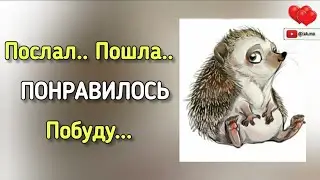 ИСТИНА.Я ржал до слёз.ЛЕОНИД ЛИБКИНД - одностишия