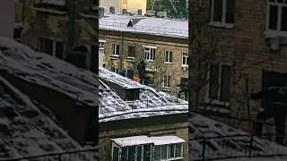 Куда он прячется🙇🏽‍♂️
