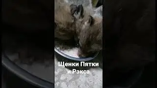 21 января 2023 г.