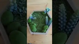 BREVE - Creation DIY d'étagères hexagonales végétales