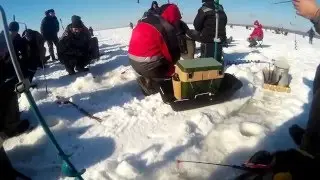 Снова на Волгу или ловля в толпе