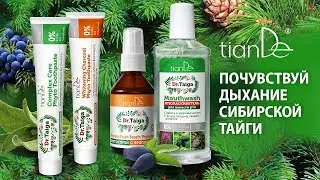Вебинар: «Почувствуй дыхание сибирской тайги»