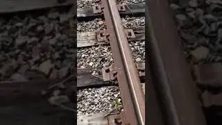 Милые паучки