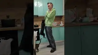 Поющий кот ещё и прыгать на ручки умеет :)