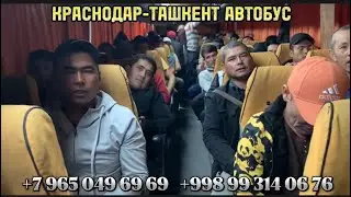 Краснодар,краснодар-ташкент,АВТОБУС КРАСНОДАР-ТАШКЕНТ, Ростов-на-Дону Ташкент автобус 2023￼