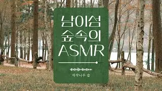 [남이섬 숲속의 ASMR] 한가로운 초봄의 어느 날 관광객 소리+새들의 합창 소리+바람 소리+자전거 타는 소리+물소리