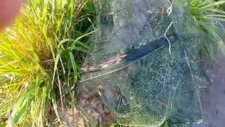 рыбалка на пруду
