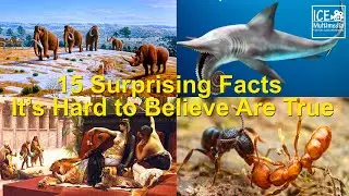 15 Surprising Facts It’s Hard to Believe Are True