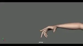 Hand animation Progress