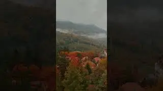 Tabiyat go‘zaliklari