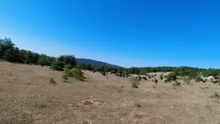 FOTOKAPAN KURULUMU VE KONTROLÜ